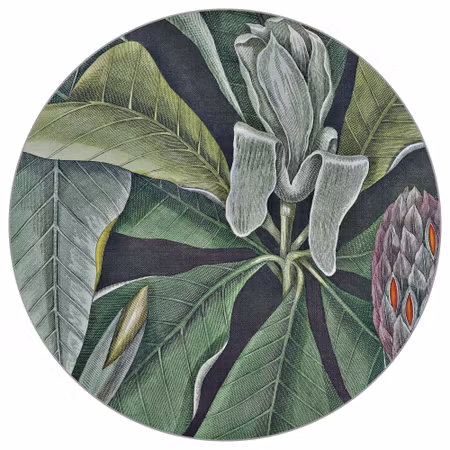 Rund fototapet - Vintage botanicals VI