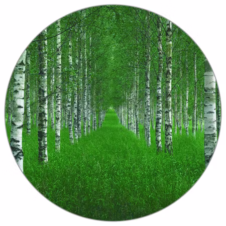 Rund fototapet - The tunnel by Christian Lindsten