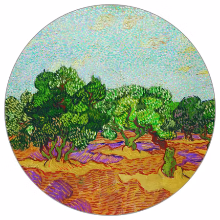 Rund fototapet - The olive trees