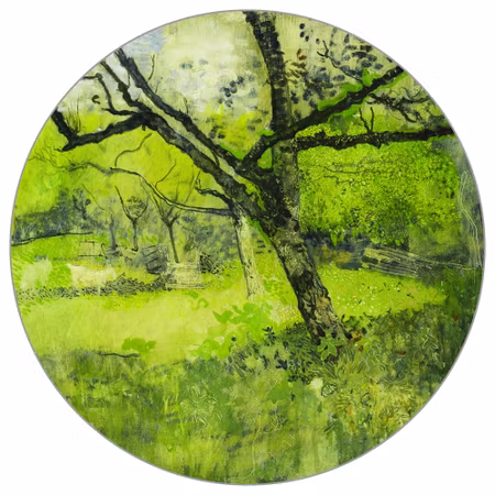 Rund fototapet - The orchard