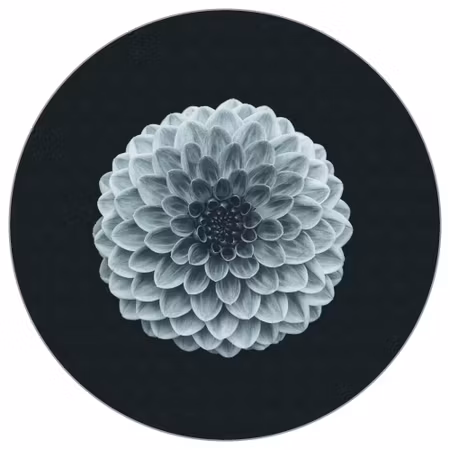 Rund fototapet - Symmetry