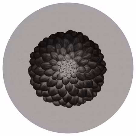 Rund fototapet - Symmetry in negative