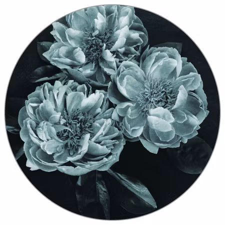 Rund fototapet - Dark blooms