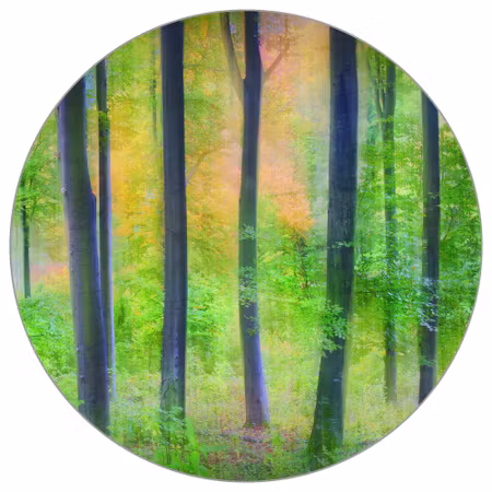 Rund fototapet - Dreamy by Jochen Burger