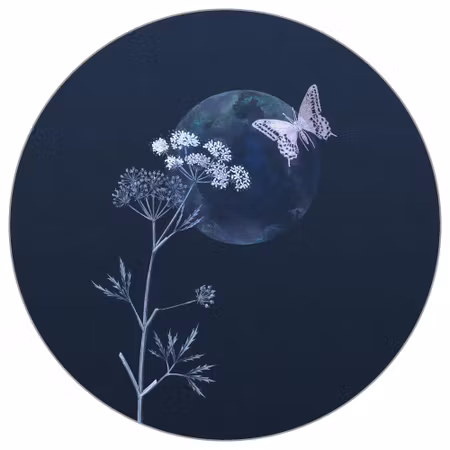 Rund fototapet - Evening flutter