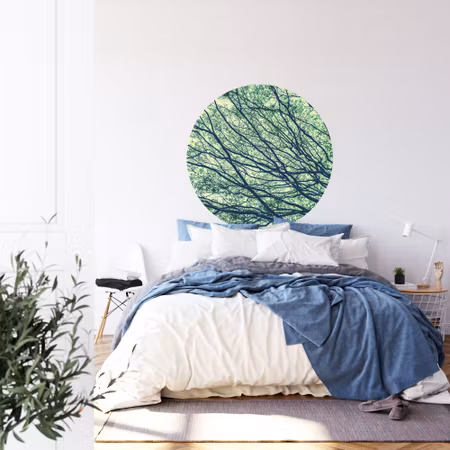 Rund fototapet - Canopy