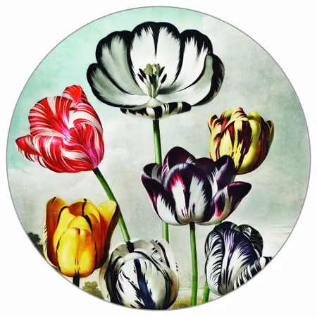 Rund fototapet - Tulips