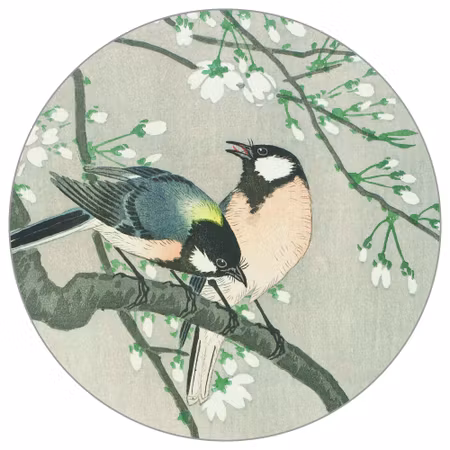 Rund fototapet - Silk birds