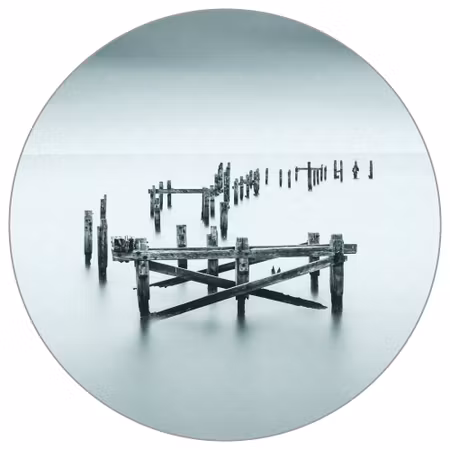 Rund fototapet - Standing firmish by Robert Bolton