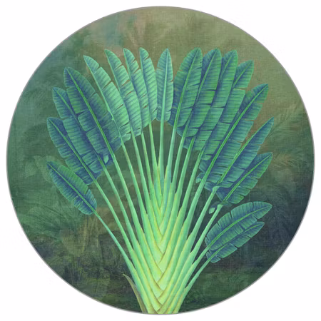Rund fototapet - Tropical depths I