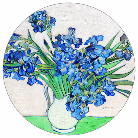 Rund fototapet - Irises