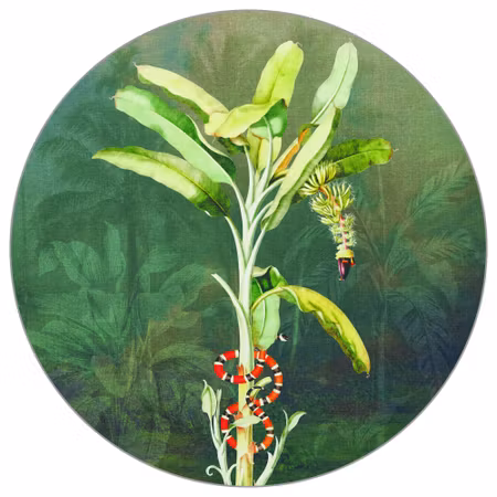 Rund fototapet - Tropical depths II