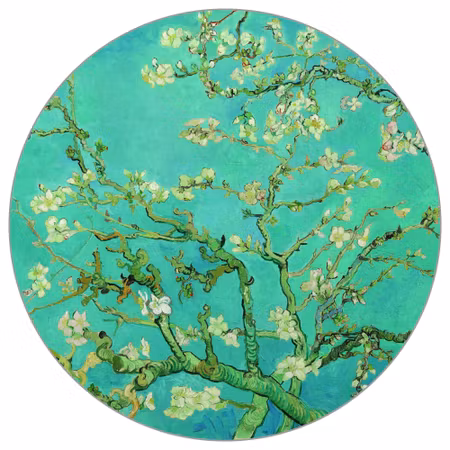 Rund fototapet - Almond blossoms