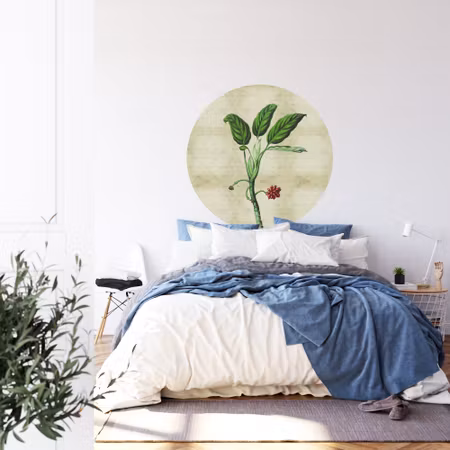 Rund fototapet - Tropical botanicals I