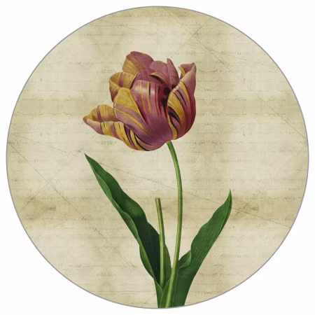Rund fototapet - Vintage botanicals IV