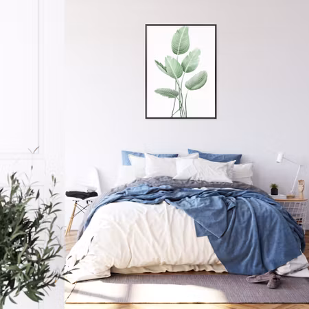 Poster med ram - White strelitzia