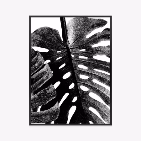 Poster med ram - Black and white tropical leaf
