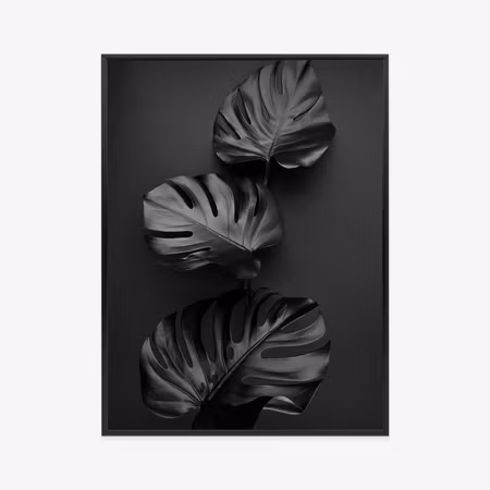 Poster med ram - Glossy dark leaves