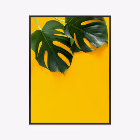 Poster med ram - Large monstera leaves