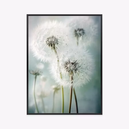 Poster med ram - Delicate wild dandelion flowers
