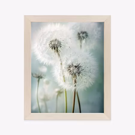 Poster med ram - Delicate wild dandelion flowers