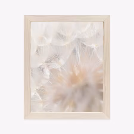 Poster med ram - Beige dandelion close up