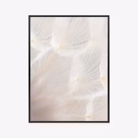 Poster med ram - Abstract beige dandelion