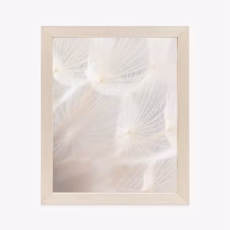Poster med ram - Abstract beige dandelion