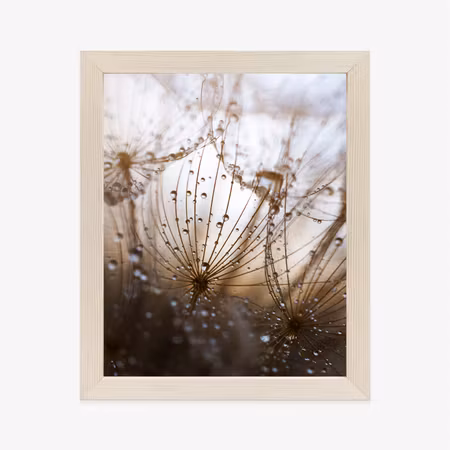 Poster med ram - Dandelion with dew drops