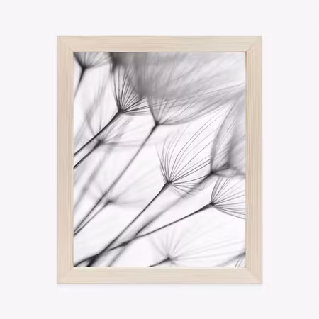 Poster med ram - Black and white dandelions
