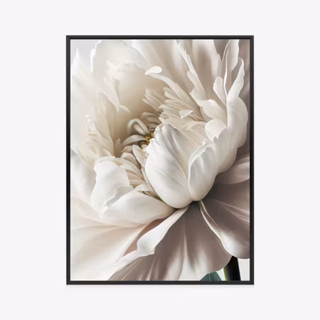 Poster med ram - White peony close up shot