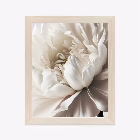 Poster med ram - White peony close up shot