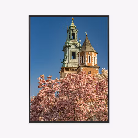Poster med ram - Wawel cathedral blooming magnolia