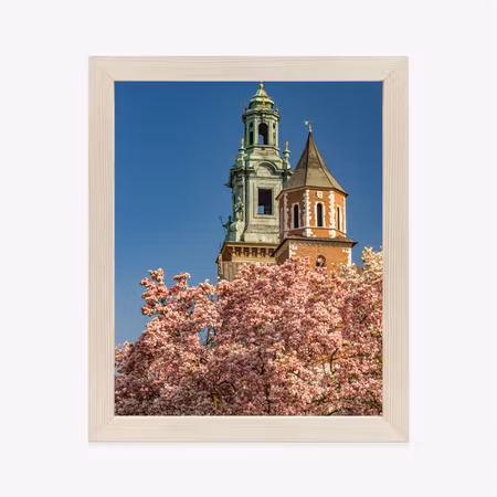 Poster med ram - Wawel cathedral blooming magnolia