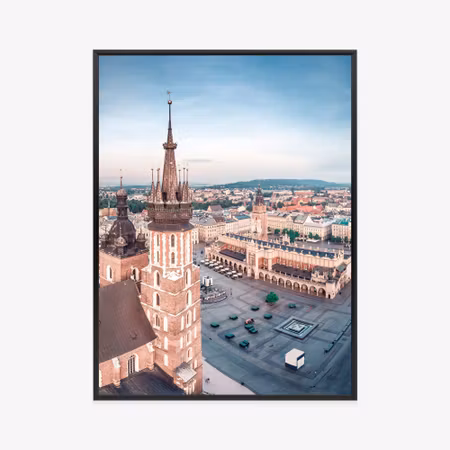 Poster med ram - A bird amp s eye view of the