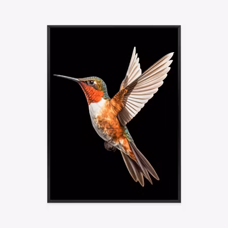 Poster med ram - Hummingbird in flight