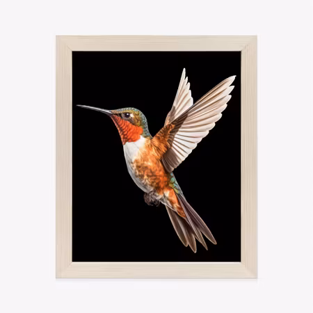 Poster med ram - Hummingbird in flight