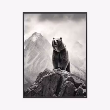 Poster med ram - Grizzly bear on a high rock