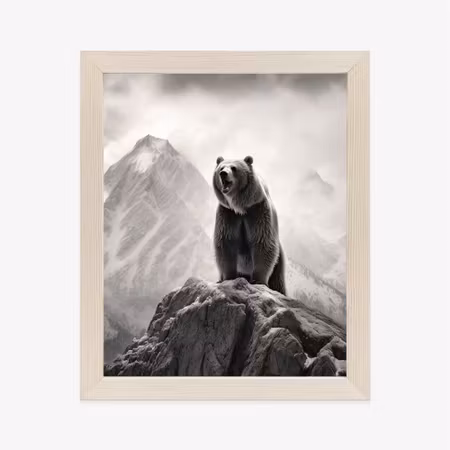 Poster med ram - Grizzly bear on a high rock