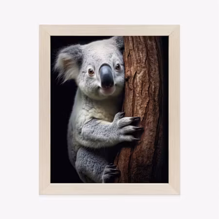 Poster med ram - Koala bear hugging a tree