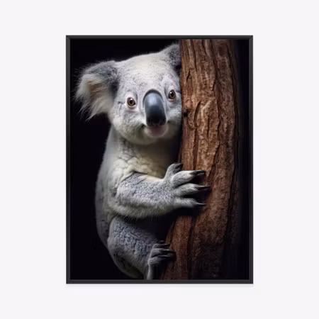 Poster med ram - Koala bear hugging a tree
