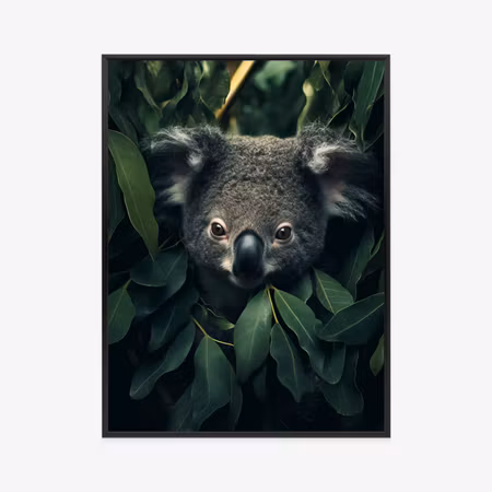 Poster med ram - Koala sitting in the leaves