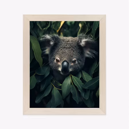 Poster med ram - Koala sitting in the leaves