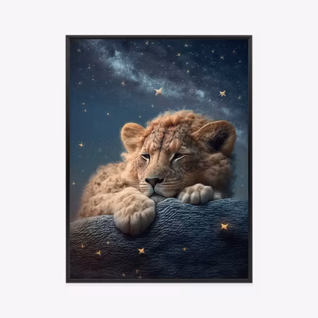 Poster med ram - Sleeping lion and night sky
