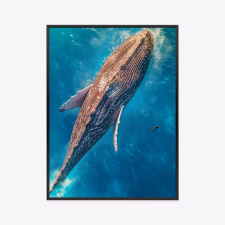 Poster med ram - A whale swimming in the blue