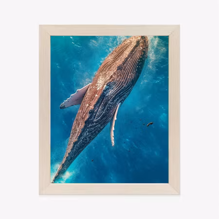 Poster med ram - A whale swimming in the blue
