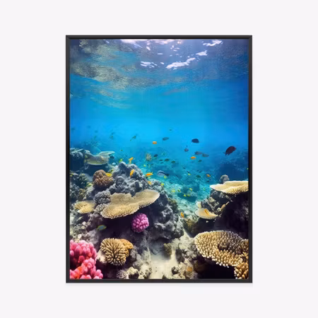Poster med ram - Underwater marine life