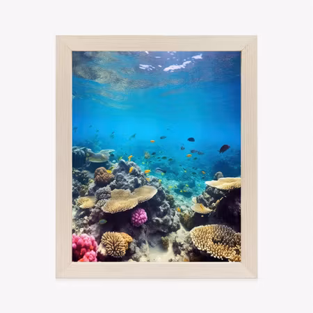 Poster med ram - Underwater marine life