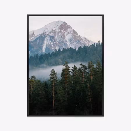 Poster med ram - Mountain green forest in the fog