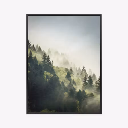 Poster med ram - Forest on mountain hills in the